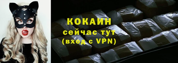 прущие крисы Медвежьегорск