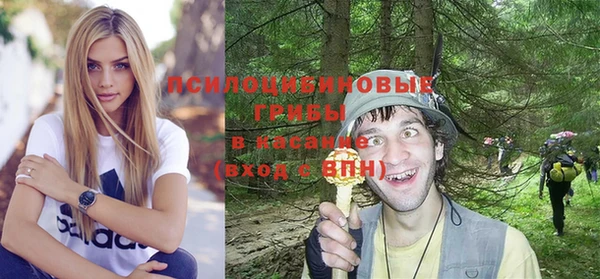 крисы Медногорск