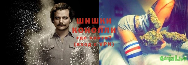прущие крисы Медвежьегорск