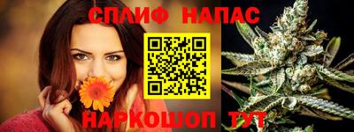 соль ск Славгород