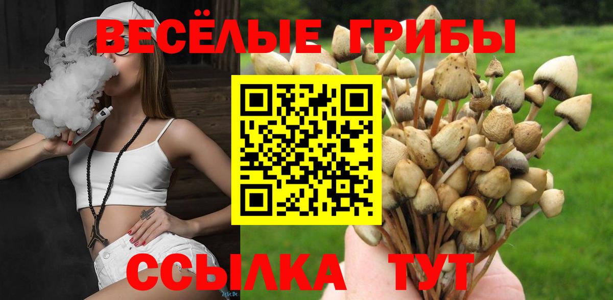 Галлюциногенные грибы MAGIC MUSHROOMS  Вход с VPN  Североморск 
